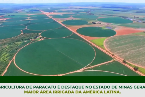 Exportações do agro: março traz novos recordes e aponta oportunidades do cenário externo